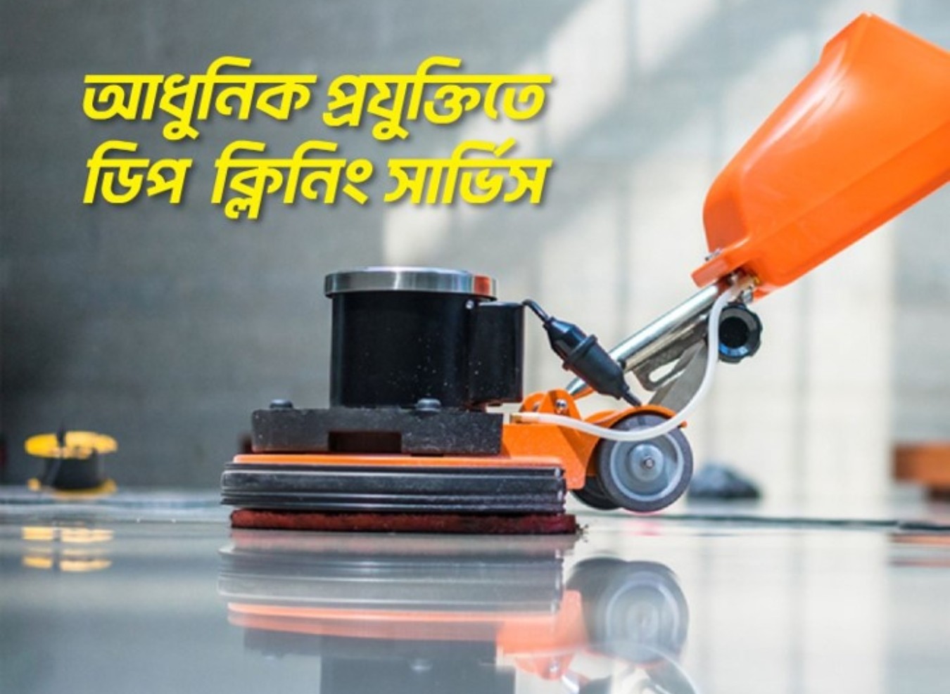 How to Prevent Insects at Home with Professional Cleaning Services